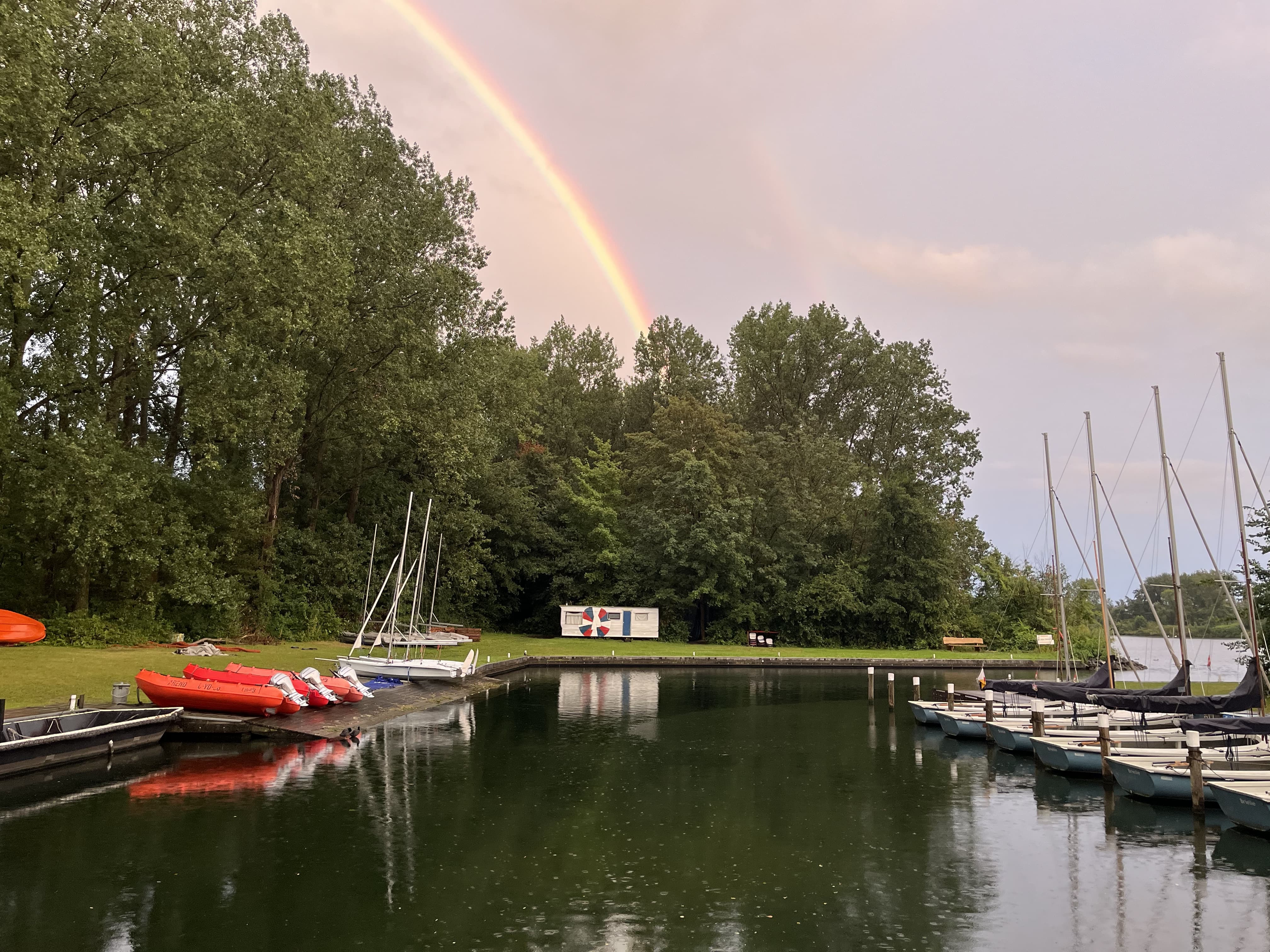 WhatsApp Image 2025-05-20 at 11.52.59.jpeg